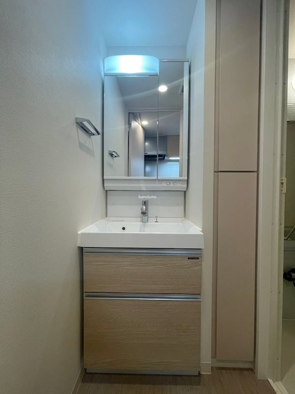 Dimus北浜の洗面所