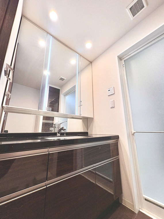 プレサンスグラン川名の洗面所