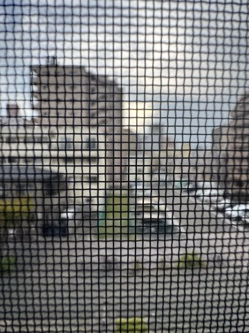 イースト西代の展望