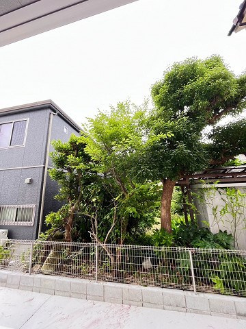 ヴェラ　アズールの展望