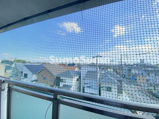 アリュールの展望