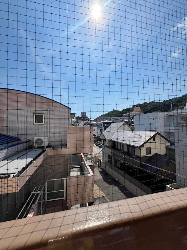 グリーンマンションの展望