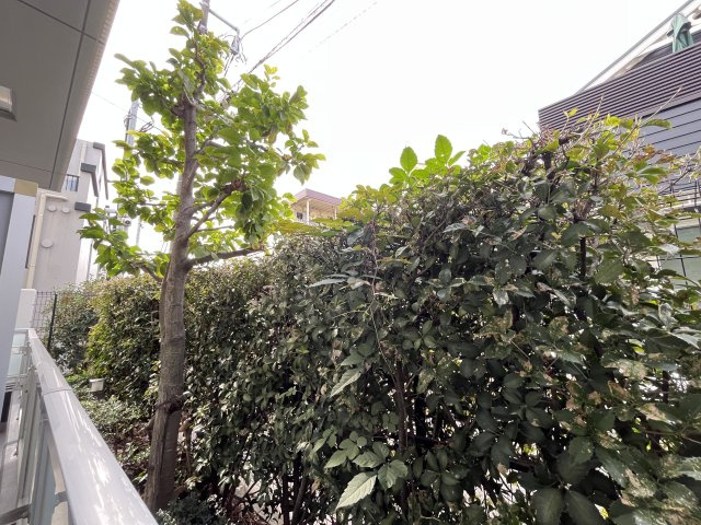 エスティメゾン都立大学の展望
