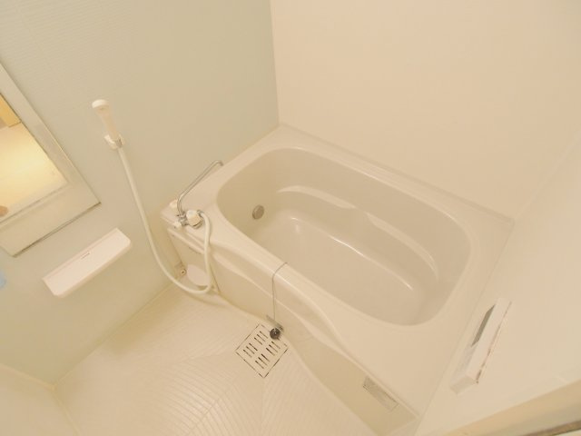 パッサーレ五番館の浴室