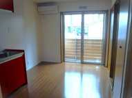 フェリシティの画像