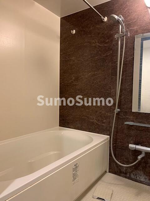 ステラメゾン三軒茶屋のその他