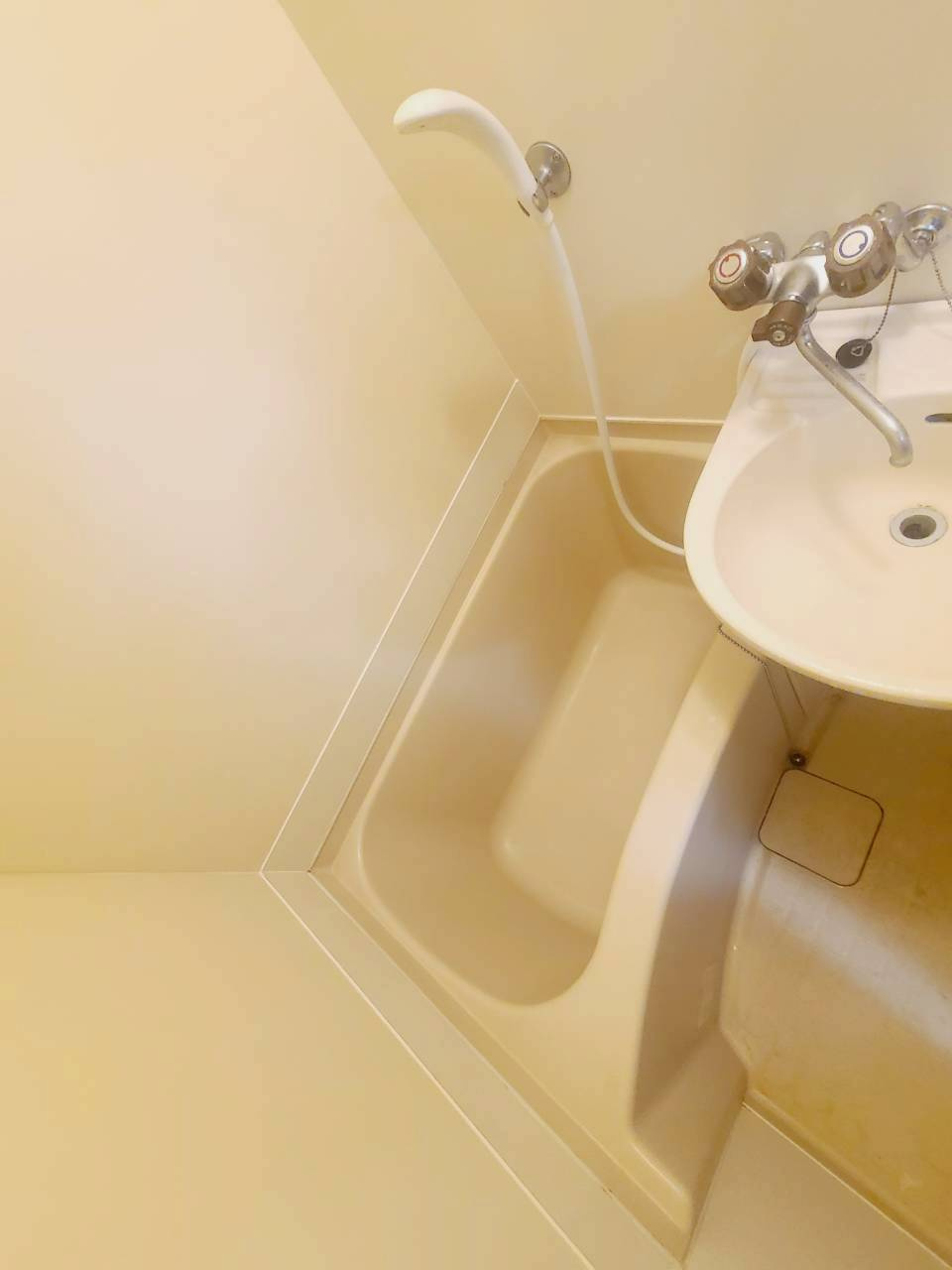 ジョイ甲子園のその他