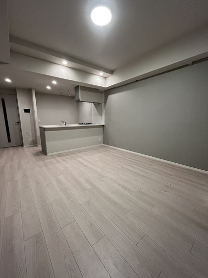 台東区下谷３丁目の賃貸マンションの居間・リビング