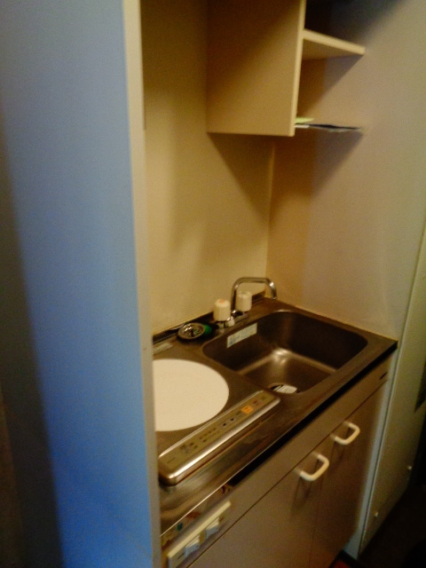 トレンタハウス桜新町　敷金0　オール電化　オートロックのキッチン