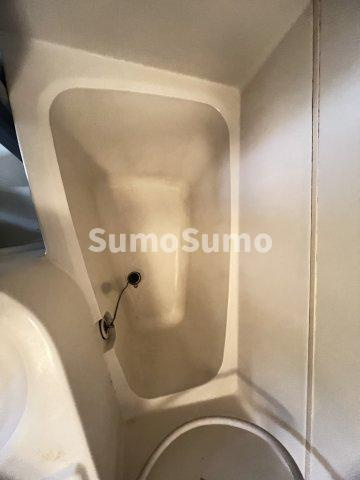 どみとりーときわⅡの浴室|きれいなお風呂です