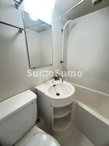 どみとりーときわⅡの洗面所|コンパクトで使いやすい洗面所