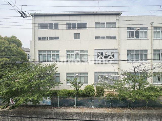 どみとりーときわⅡの展望