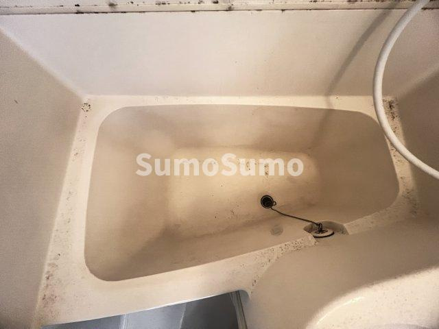 どみとりーときわⅡの浴室|落ち着いた空間のお風呂です