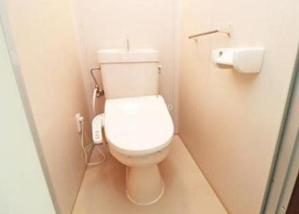 ドミール堺筋本町のトイレ