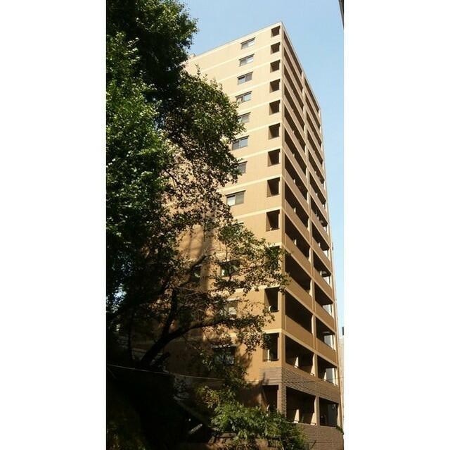 ソリッド大橋の展望