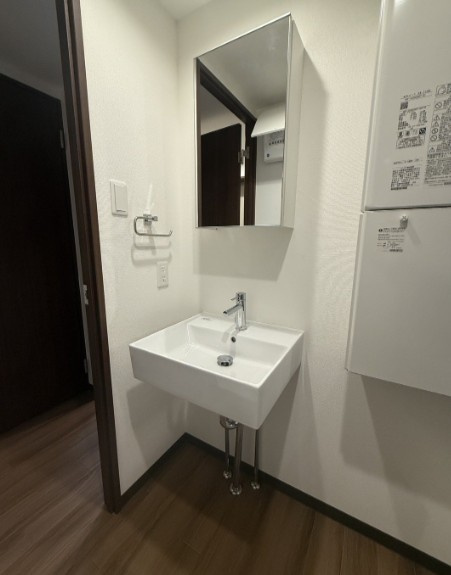 ラシクラス上板橋の洗面所