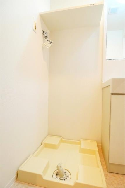 ラフィスタ調布多摩川の洗面所