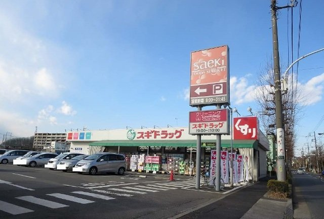 グリーンサイドⅡの周辺|スギドラッグまで2000m