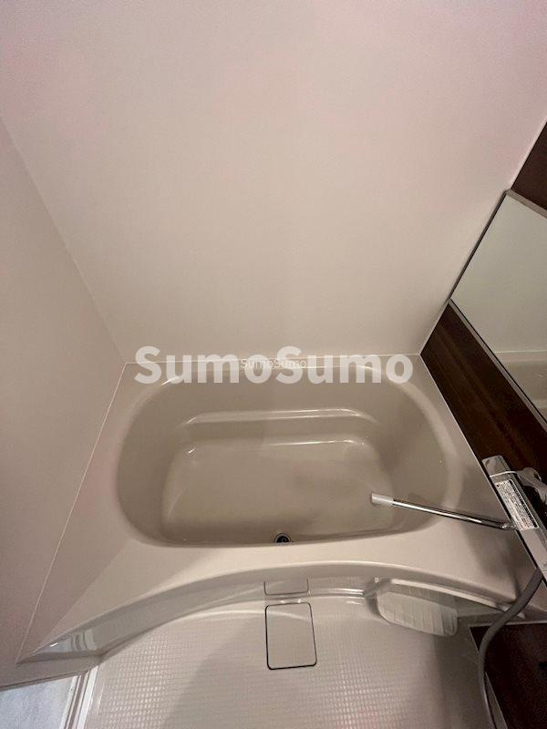 プレサンスNEO九条ディアシスの浴室