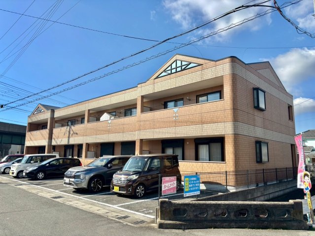 パンプルムースの外観