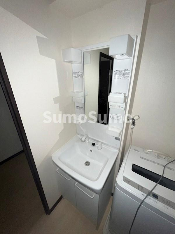 レオネクストサンルージュ　池田の洗面所