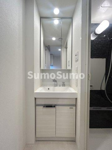 ルネフラッツ谷町四丁目の洗面所