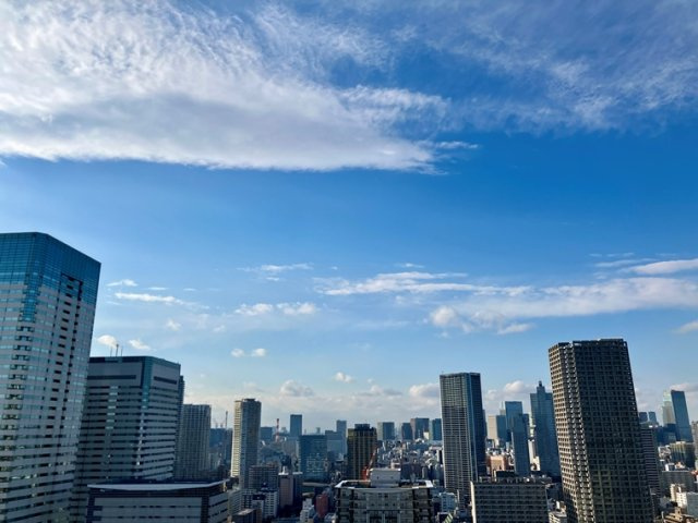ザ・パークハウス晴海タワーズティアロレジデンスの展望