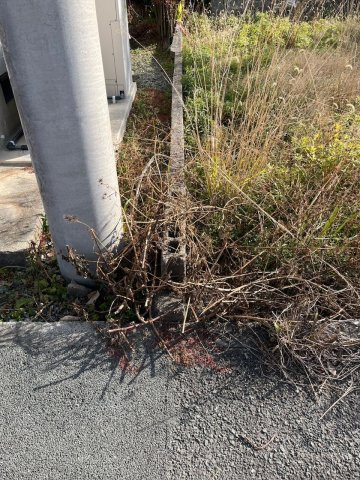 みやま市高田町原　土地の外観
