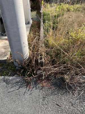 【外観】 | みやま市高田町原　土地