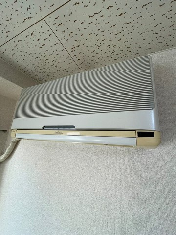 三甲イエムのその他