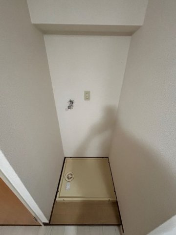 平野エスペランスのその他