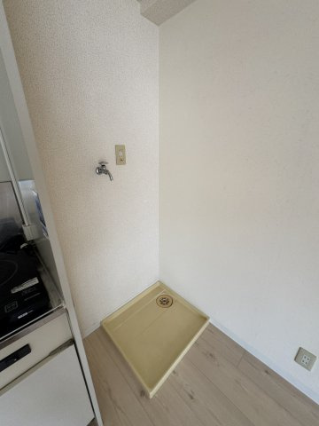 平野エスペランスのその他