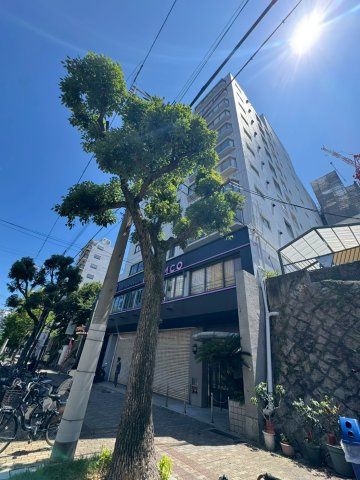 湊川パークハイツの外観