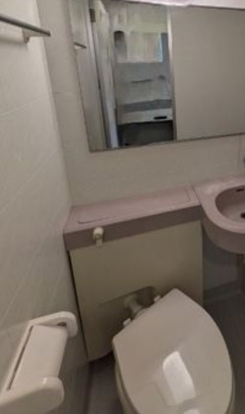 SOCIETY MINAMI-GYOUTOKU(K-017)のトイレ