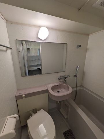 SOCIETY MINAMI-GYOUTOKU(K-017)の浴室