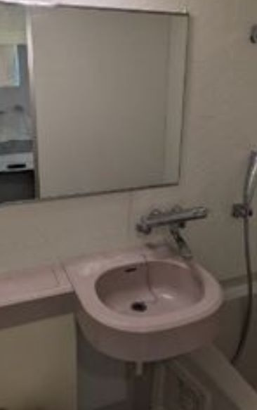 SOCIETY MINAMI-GYOUTOKU(K-017)の洗面所