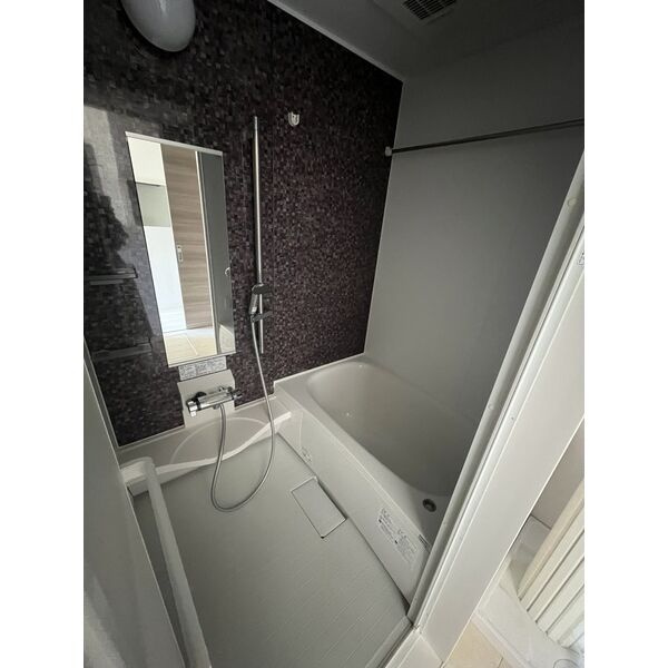 ロイジェント高島平の浴室