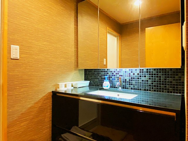 ラヴィ熱海C棟の洗面所