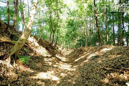 ツインテレスＡの庭|簡単な家庭菜園も楽しめるお庭です