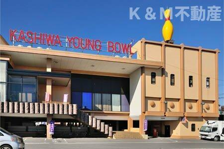 ツインテレスＡの周辺|柏ヤングボウルまで1,316m 