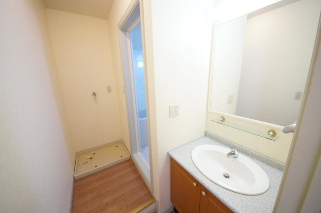 シティルミナスⅤの洗面所