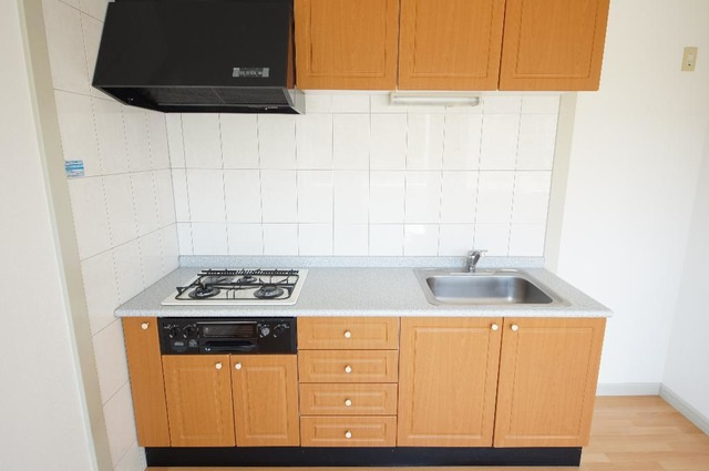 シティルミナスⅤのキッチン