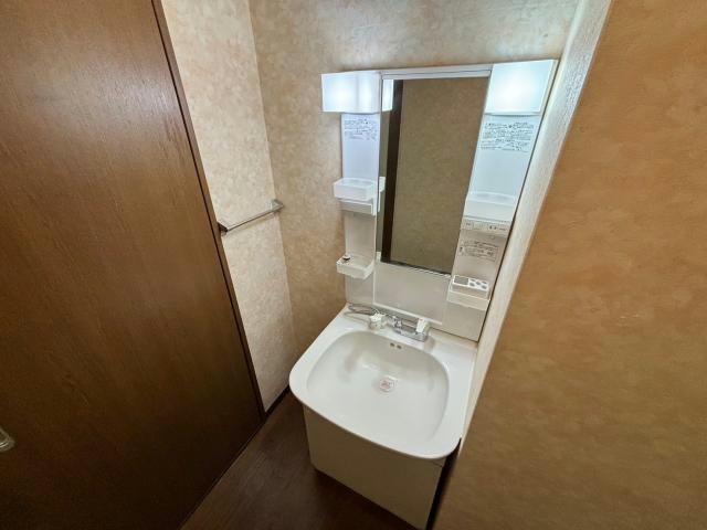 アムールエバーハイツの洗面所