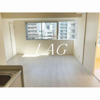 【居間・リビング】 | グレイス白金 | 洋室のお部屋です。