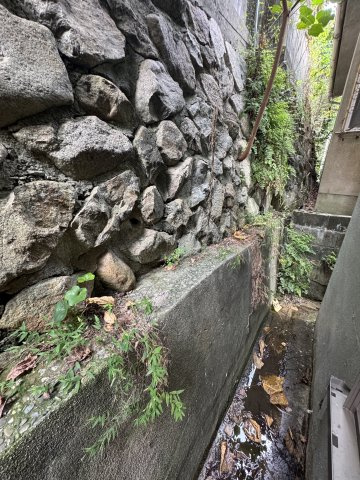 鶯橋マンションの庭