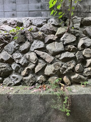鶯橋マンションの展望