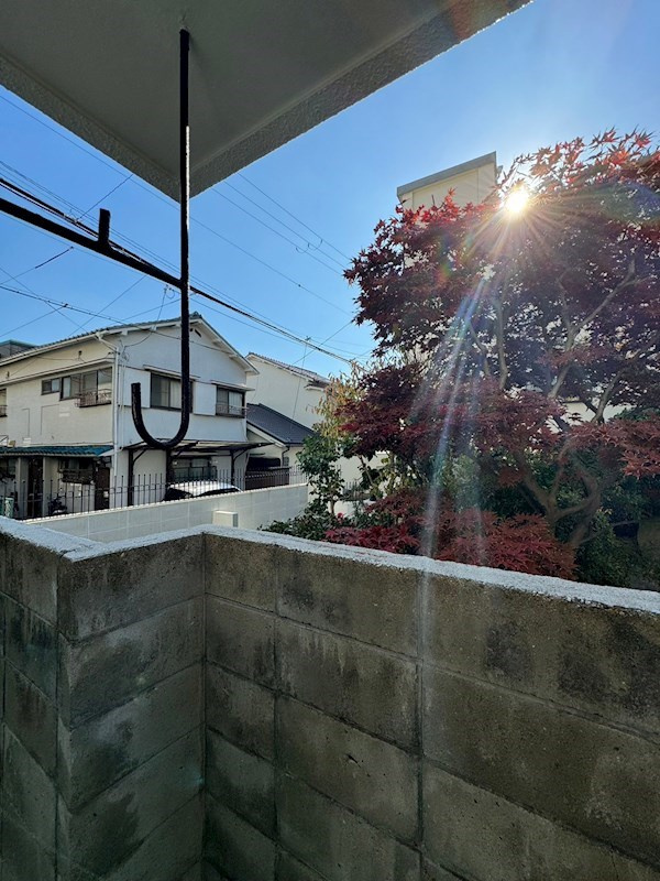 高田マンションの展望