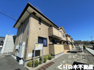 カーム・リリーの画像