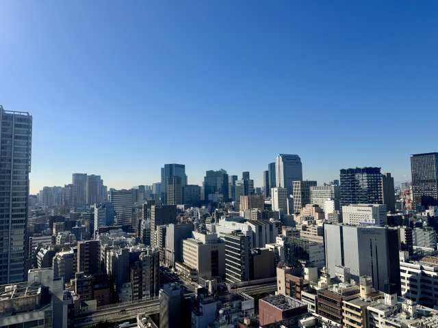 WORLD TOWER RESIDENCE/ワールドタワーレジデンスの画像