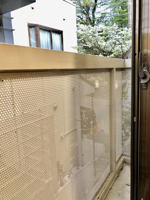 プチ・メゾンのバルコニー